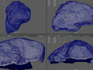 moss rock 3 3D Model