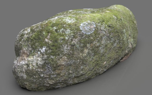 moss rock 5 3Dモデル .c4d .max .obj .3ds .fbx .stl .blend 