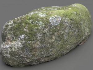 moss rock 5 3D Model