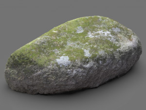 moss rock 5 3Dモデル