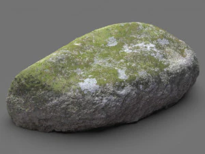 moss rock 5 3D Model