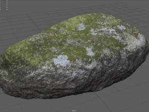 moss rock 5 3D Model
