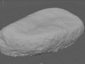 moss rock 5 3D Model