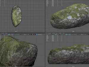 moss rock 5 3D Model