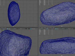 moss rock 5 3D Model