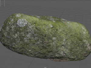 moss rock 5 3D Model