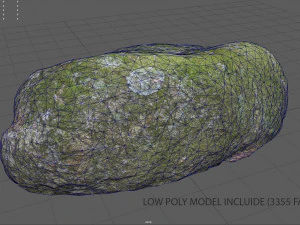 moss rock 5 3D Model