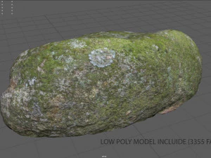 moss rock 5 3D Model