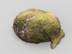 moss rock 4 3D 모델