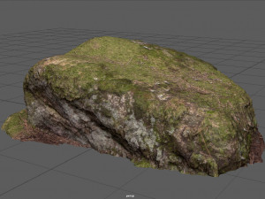 moss rock 4 3D 모델