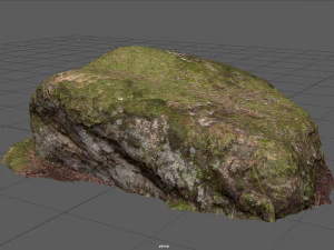 苔岩 4 3Dモデル
