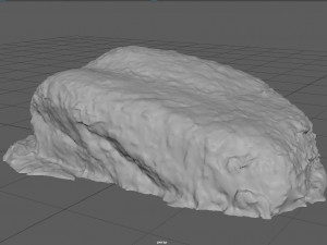 moss rock 4 3D 모델
