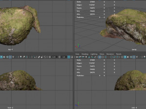 moss rock 4 3D 모델