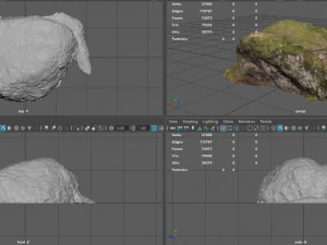 苔岩 4 3Dモデル