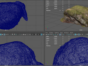 moss rock 4 3D 모델