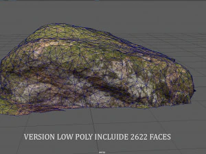 苔岩 4 3Dモデル