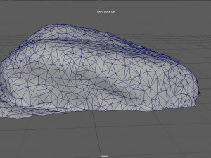 苔岩 4 3Dモデル