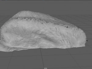 苔岩 4 3Dモデル