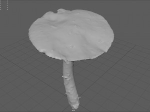 mushroom 4 Model 3D