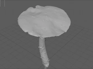 mushroom 4 3D Model