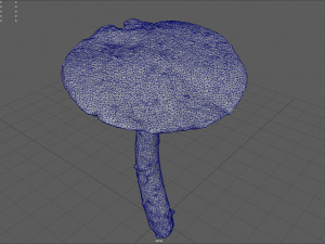 mushroom 4 Model 3D