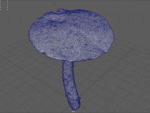 mushroom 4 3D Model
