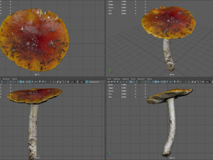 mushroom 4 Model 3D