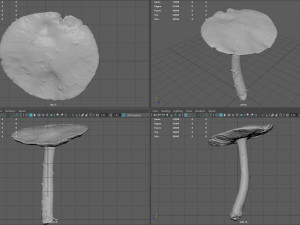 mushroom 4 Model 3D