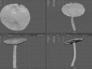 mushroom 4 3D Model