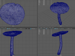 mushroom 4 Model 3D