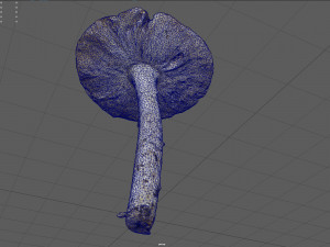 mushroom 4 Model 3D