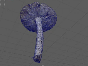 mushroom 4 3D Model