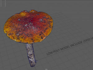 mushroom 4 Model 3D