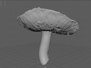 mushroom 7 Modèle 3D