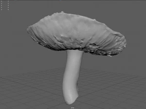 mushroom 7 3D Model