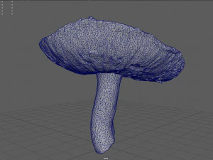 mushroom 7 3D Model