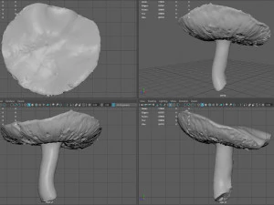 mushroom 7 3D Model
