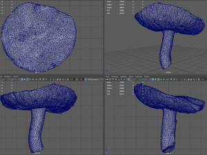 mushroom 7 Modèle 3D