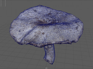 mushroom 7 Modèle 3D