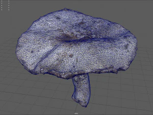 mushroom 7 3D Model