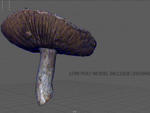 mushroom 7 Modèle 3D