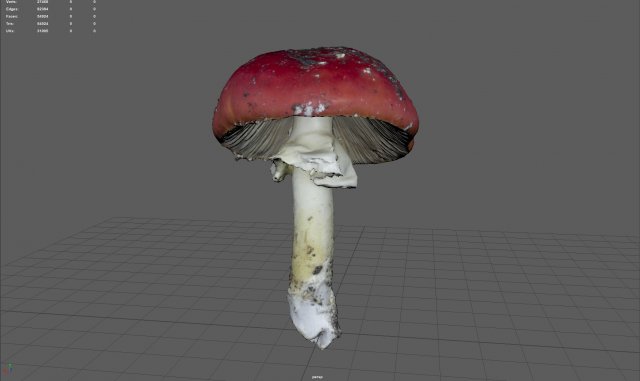 mushroom 8 3D 模型 .c4d .max .obj .3ds .fbx .stl .blend 