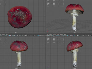 mushroom 8 3D 模型