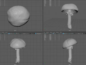 蘑菇 8 3D 模型