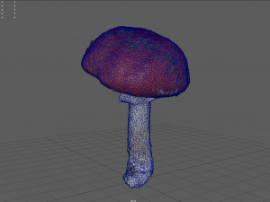 mushroom 8 3D 模型