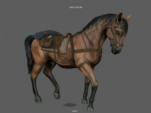horse Modello 3D