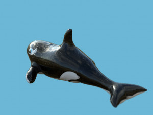 orca float 3D Модель
