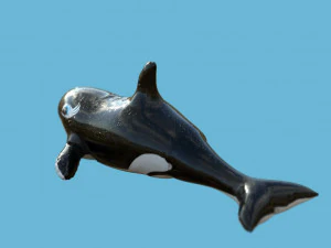 pływająca orka Model 3D