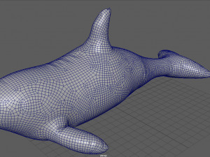 orca float 3D Модель