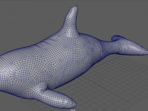 pływająca orka Model 3D